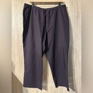 Eileen Fisher Women’s Dark Purple Pants Size 1X